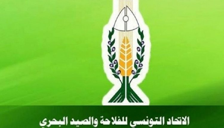 UTAP : 170 candidats se présentent à l’élection du nouveau Conseil central