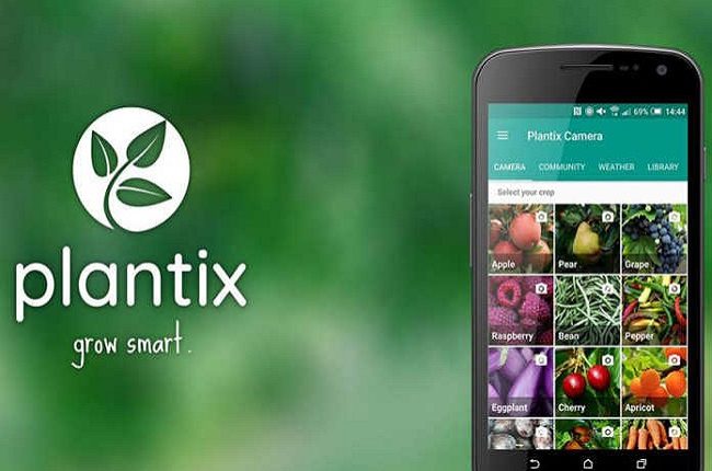 plantix-mobile-app-696×432