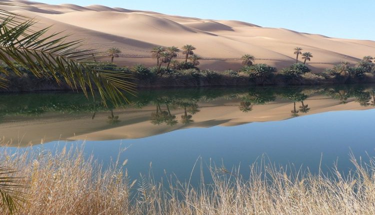 Kébili : Une délégation américaine en visite pour des projets d'aménagement des systèmes hydrauliques dans les oasis