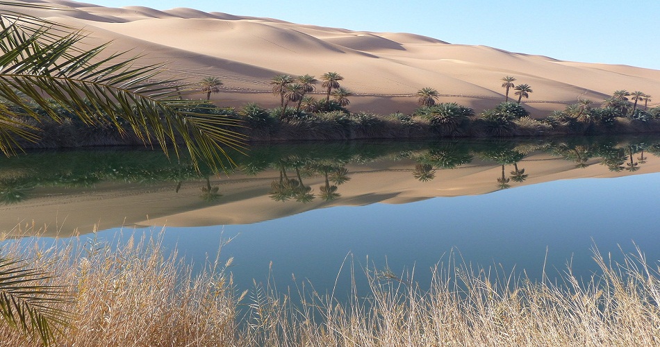 Kébili : Une délégation américaine en visite pour des projets d'aménagement des systèmes hydrauliques dans les oasis