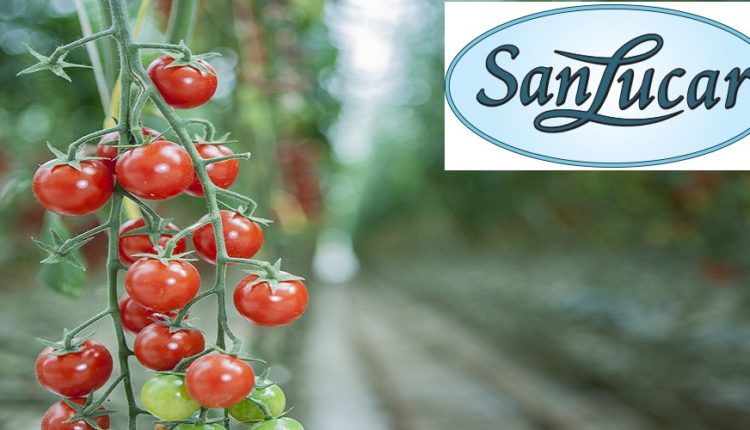 SANLUCAR fête ses dix ans en Tunisie