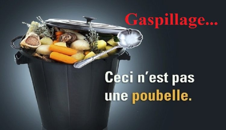 La facture liée au gaspillage de denrées alimentaires s’élève à 576 millions de dinars chaque année