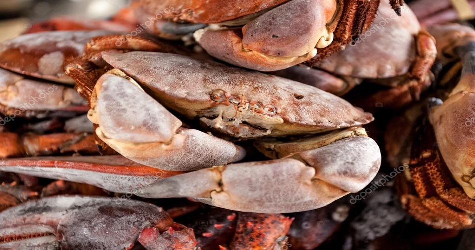exportations tunisiennes des crabes congelés