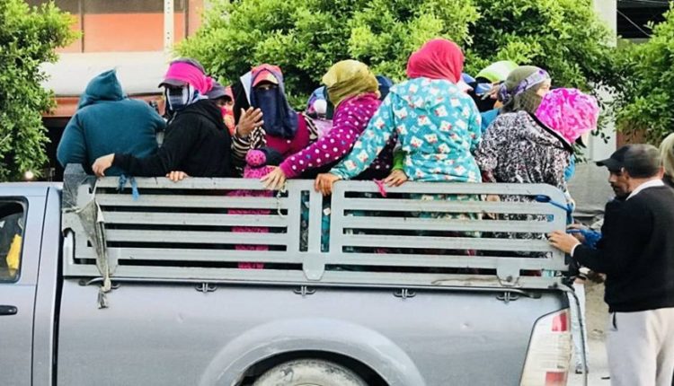 Bientôt des autorisations exceptionnelles pour le transport des ouvrières agricoles