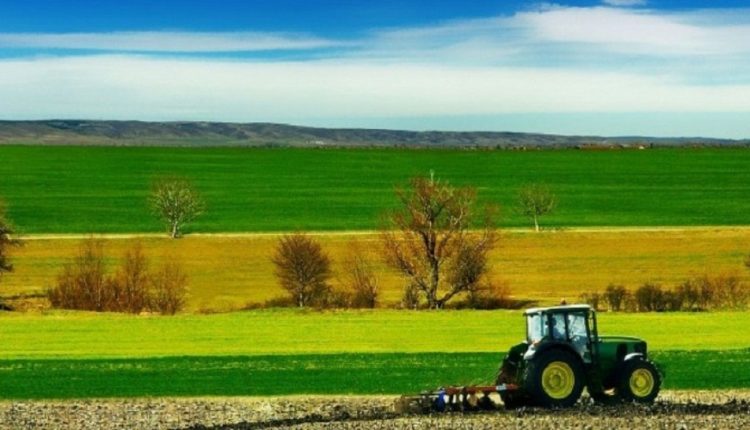 Un nouveau projet de promotion des investissements agricoles et de la participation des jeunes, financé par l'Organisation des Nations unies pour l'alimentation et l'agriculture (FAO), à hauteur de 125 millions de dollars, (l'équivalent 376,4 millions de dinars) sera lancé ce mois de mai, par le ministère de l'Agriculture, des Ressources Hydrauliques et de la Pêche, indique le département de l'Agriculture sur son site web.