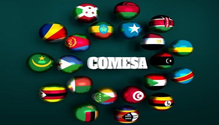 Comesa : la Tunisie entamera ses échanges commerciaux avec les états membres du Marché commun de l'Afrique orientale et australe