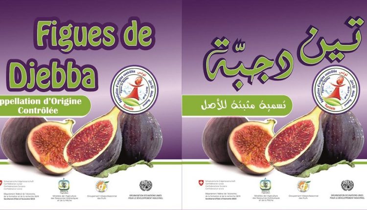 La Figue de Djebba AOC