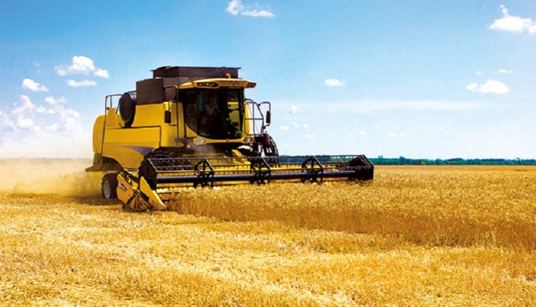 La récolte céréalière permettra de réduire les importations et d'économiser près de 350 MD