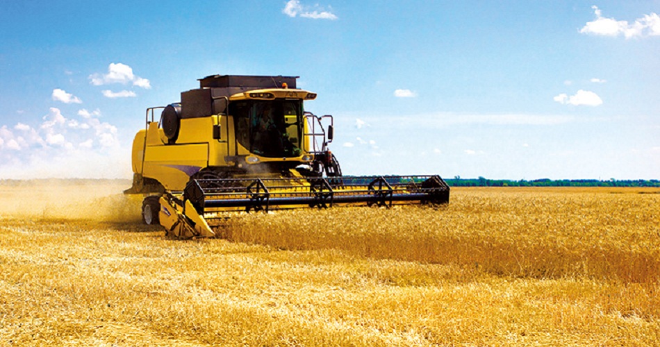 La récolte céréalière permettra de réduire les importations et d'économiser près de 350 MD