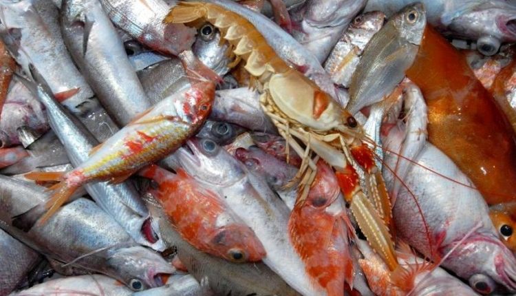 Produits de la pêche : progression de 13% des recettes d’exportation