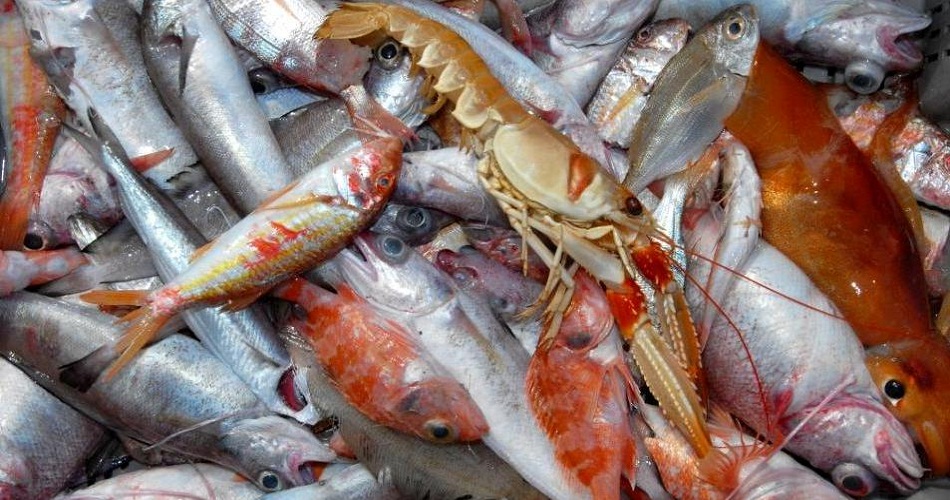 Produits de la pêche : progression de 13% des recettes d’exportation