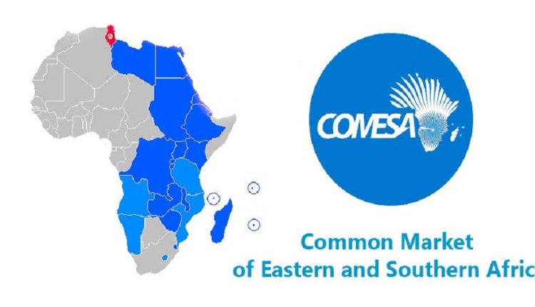 Vers des échanges commerciaux avec les Etats membres de la COMESA d'ici fin 2019