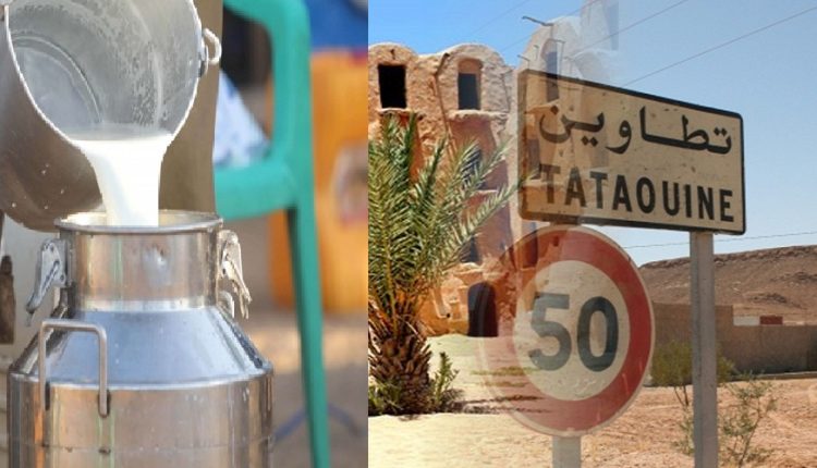 Tataouine: Transfert de lait pour la 1ère fois vers le Centre et le Nord