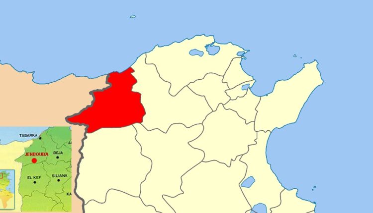 Jendouba: Etudes pour la lutte contre les glissements de terrains