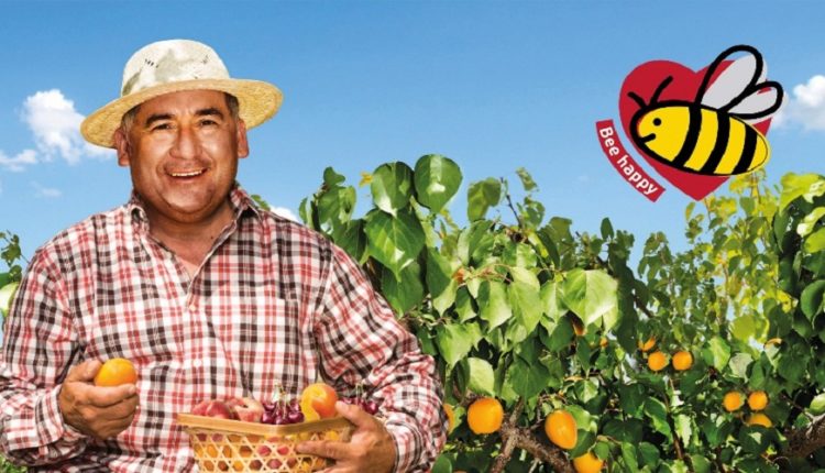 SANLUCAR s'engage pour la protection des abeilles