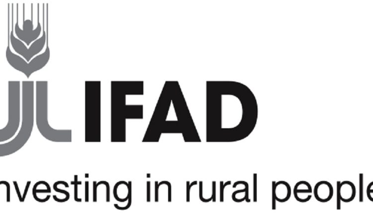 FIDA s’allie avec ses partenaires pour renforcer la résilience et stimuler le développement au Sahel