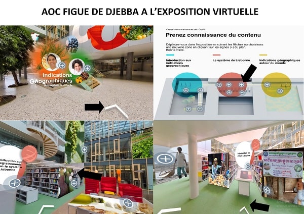 L’expérience de l’AOC Figue de Djebba en vedette à l’occasion d’une exposition virtuelle mondiale
