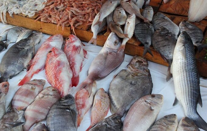 PÊCHE : Les exportations retrouvent leurs rythme d'avant COVID-19