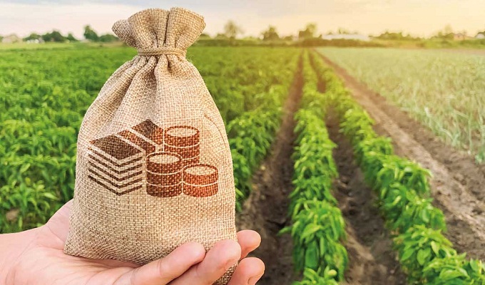 L'APIA approuve 130,7 MD d'investissements agricoles privés