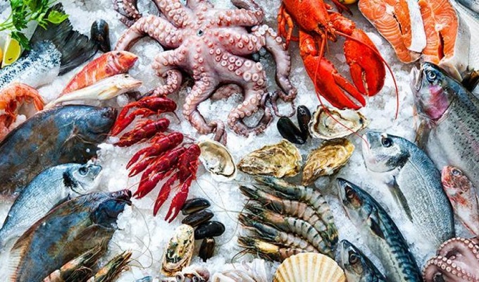 Augmentation de 82% des exportations des produits de pêche à MEDENINE