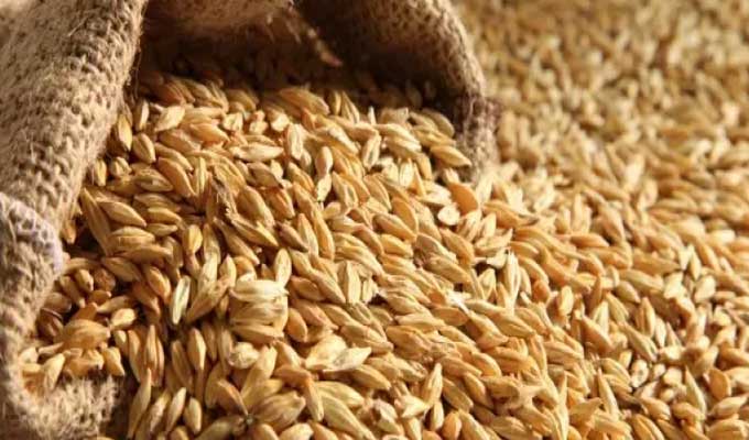 La Tunisie veut se procurer 125 000 tonnes de céréales sur le marché international