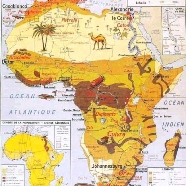 L'Afrique en Chiffre : l'Afrique représente l'avenir de l'humanité