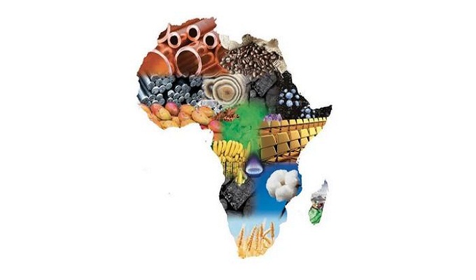 L'Afrique en Chiffre : l'Afrique représente l'avenir de l'humanité