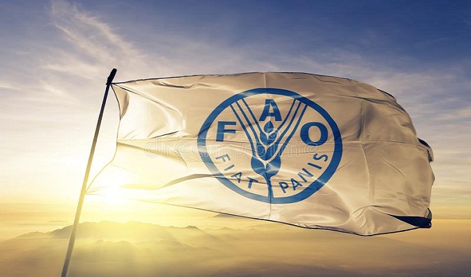 La FAO et la BERD lancent un programme de sécurité alimentaire de 5,5 millions $ dans 5 pays dont 3 africains