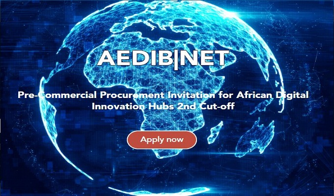 Le projet AEDIB organise un programme de renforcement de compétences pour les start-up en Afrique et en Europe