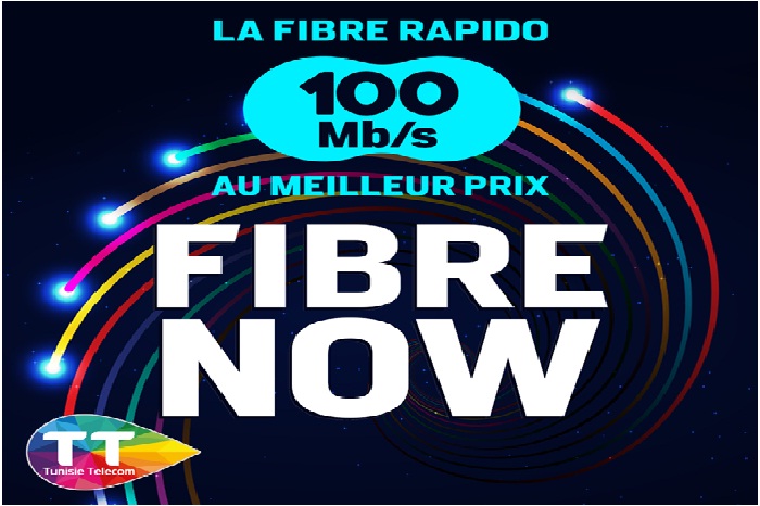 Fibre Rapido TT