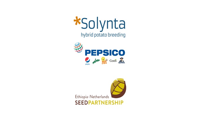 Solynta et PepsiCo s'associent pour offrir des semences de pommes de terre hybrides aux agriculteurs éthiopiens