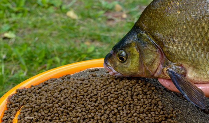 produits de pêche et de farine de poisson