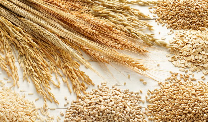 Tunisie : hausse du prix d’achat du blé dur auprès des producteurs locaux