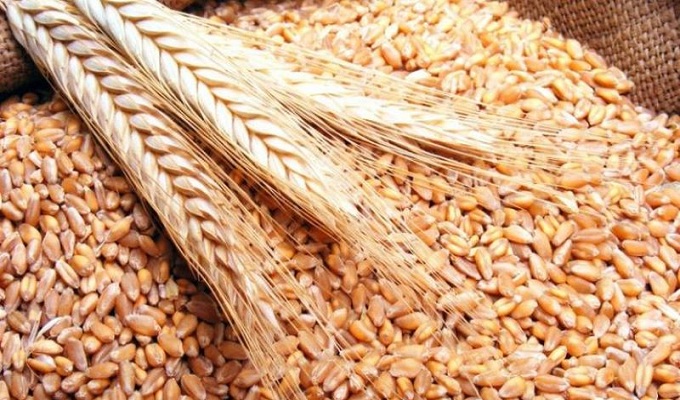 Tunisie : l’UE lance un fonds d’appui de 19,5 millions $ pour soutenir la production de céréales