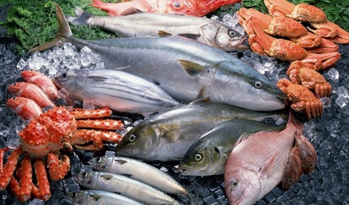 Algérie : les recettes d’exportation de produits halieutiques vers le reste de l’Afrique attendues à plus de 35 millions $ en 2023