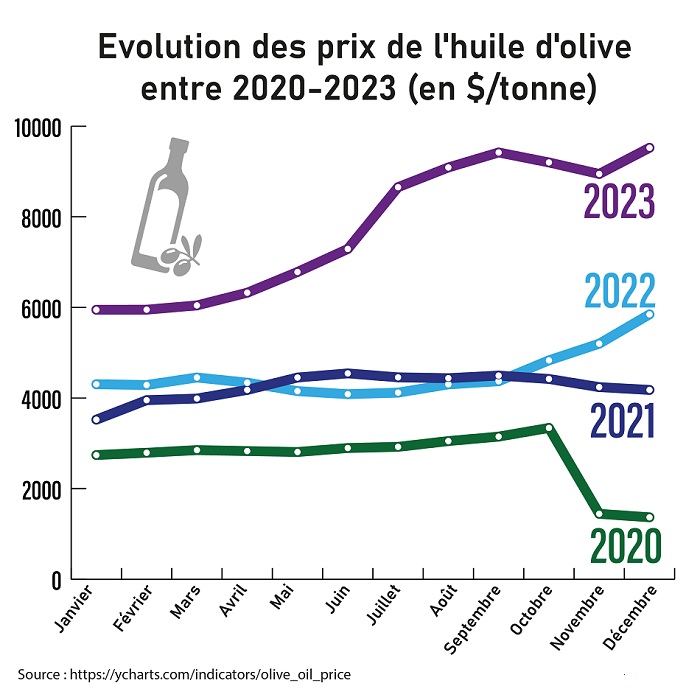 Huile d’olive : tous les records pour l’Or liquide en 2023