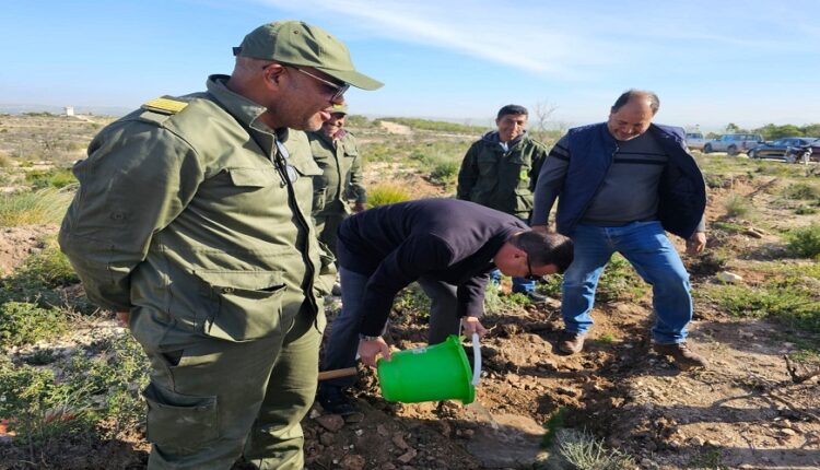 hyundai tunisie lance la 2ᵉ édition de son initiative écologique un arbre planté 1
