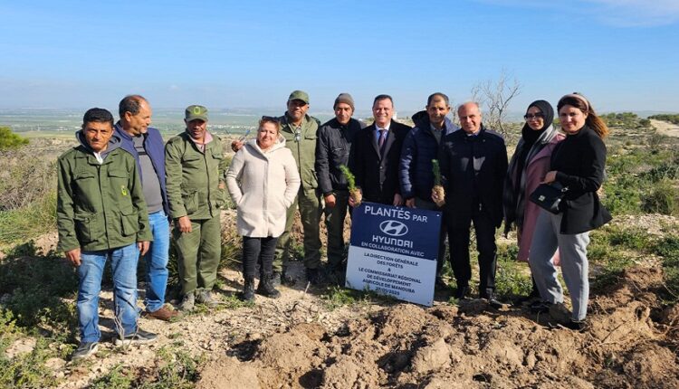 hyundai tunisie lance la 2ᵉ édition de son initiative écologique un arbre planté 2