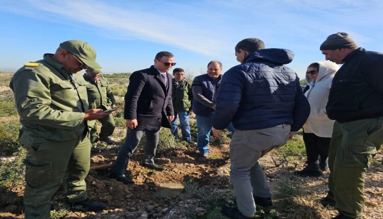hyundai tunisie lance la 2ᵉ édition de son initiative écologique un arbre planté 3