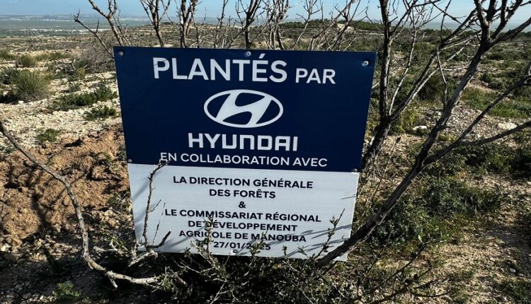 hyundai tunisie lance la 2ᵉ édition de son initiative écologique un arbre planté