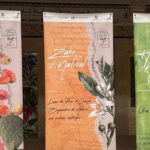 journée du tourisme arabe à nabeul les produits du terroir au cœur d’une nouvelle offre touristique immersive