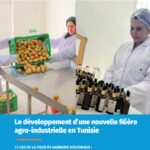 l’ascension agro industrielle du cactus tunisien 5