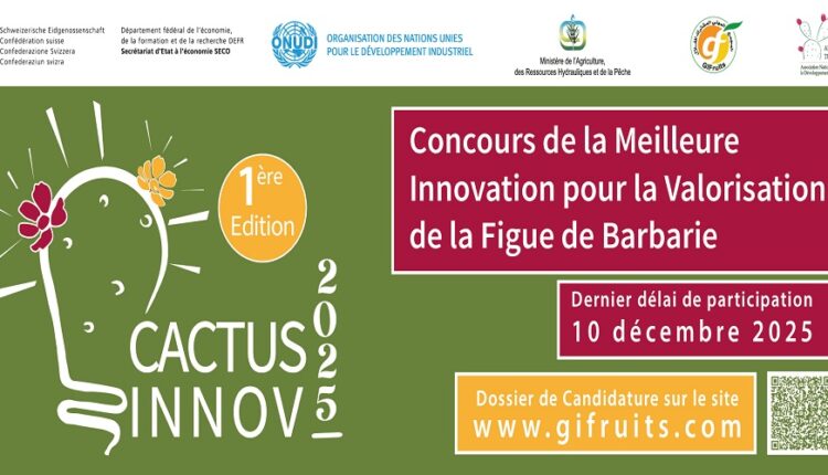 bannière web cactus innov 25