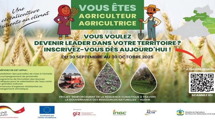 jendouba pour une gestion durable des ressources naturelles et une agriculture résiliente face au changement climatique