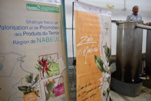 la route de la fleur de bigaradier 8