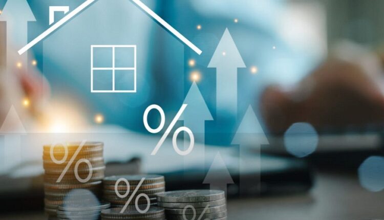 mache location tunisie plumeseconomiques