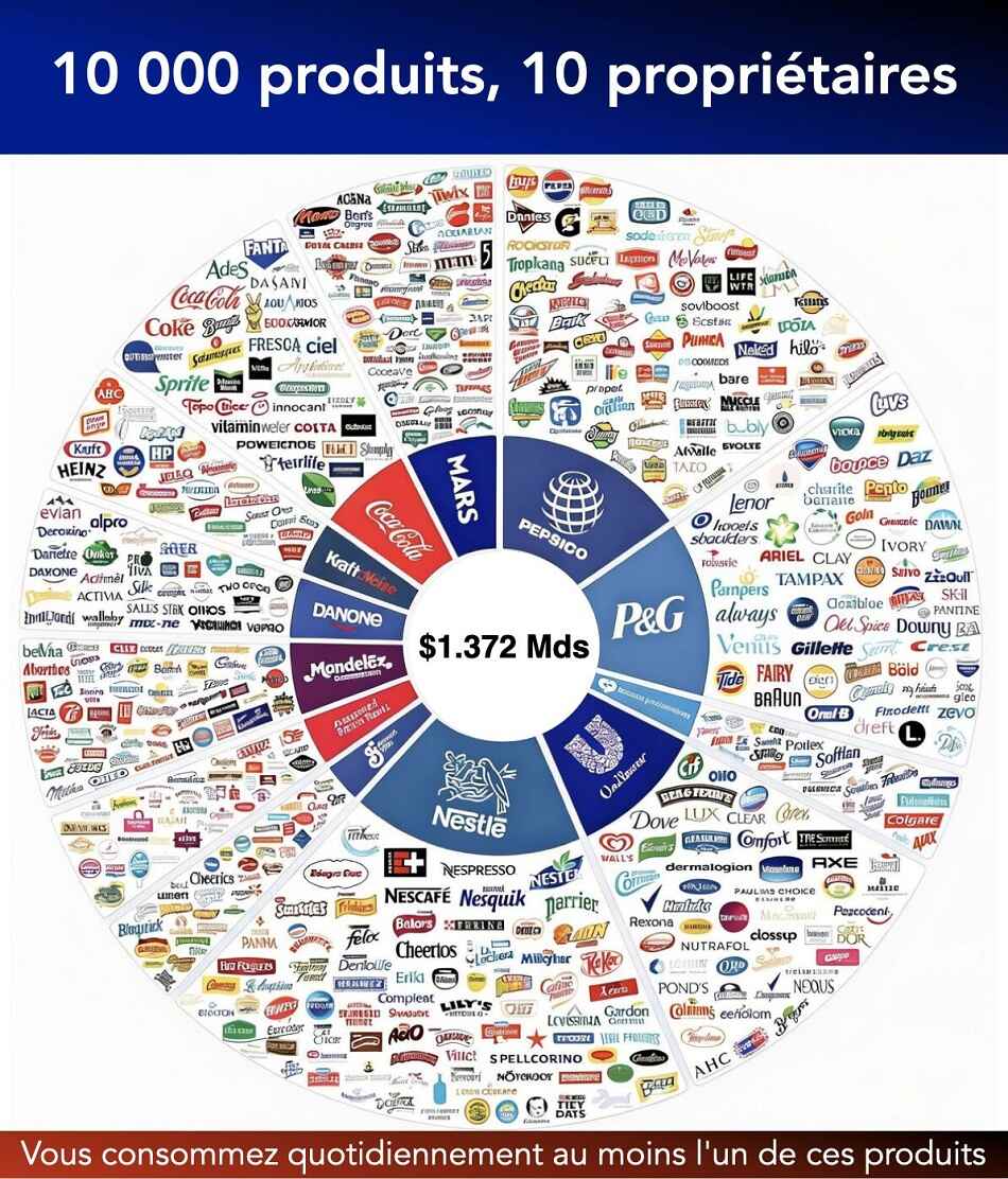 10 000 produits...10 propriétaires plu;esecono;iaues