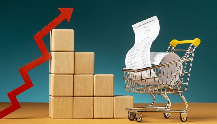 pouvoir achat plumeseconomiques