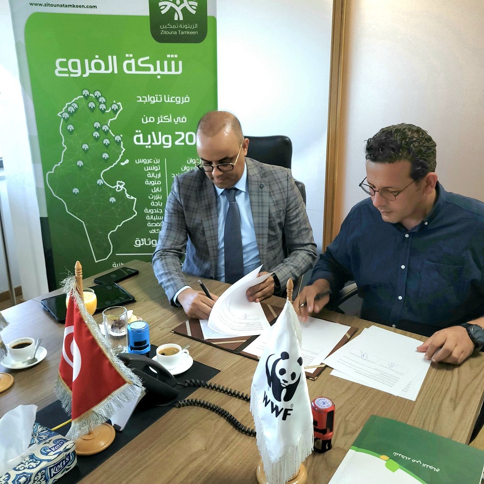 zitouna tamkeen et wwf s'unissent pour les communautés du nord ouest tunisien 3